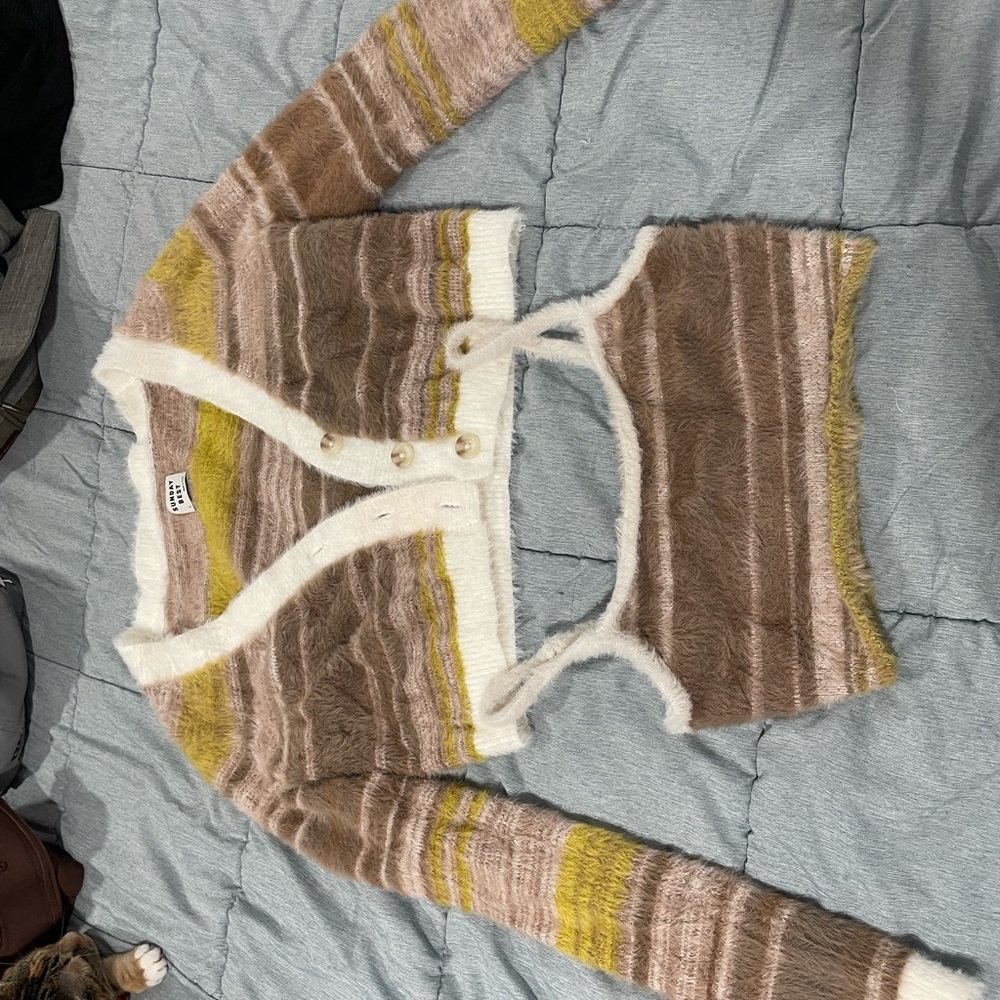 Striped Multicolor Cardigan Sweater and Crop